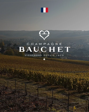 Bauchet