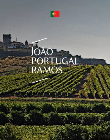 João Portugal Ramos