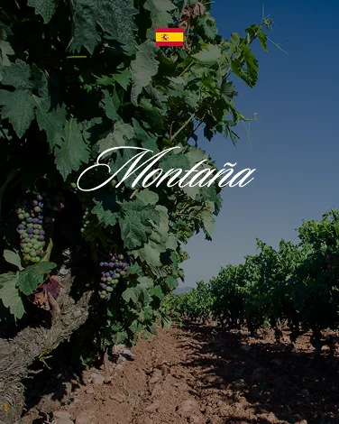 Montaña (Familia Montaña)
